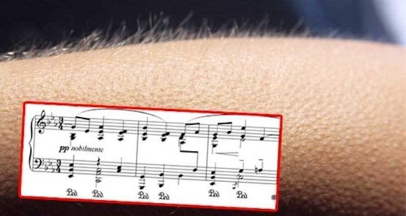Почему так больно: причины, по которым песня может вызвать сильные эмоции