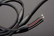 фото анонса Кабель акустический Transparent Plus Bi-Wire Speaker Cable / 2 х 2.46м